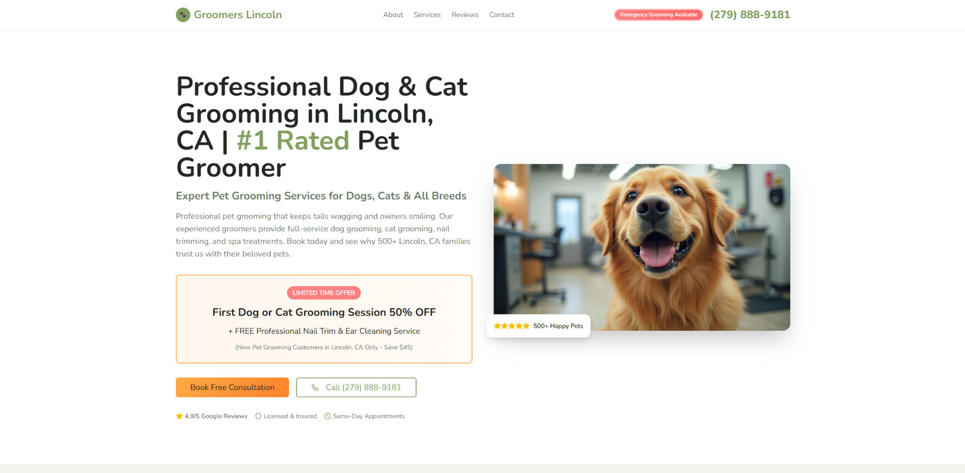 Groomers Lincoln professional website design for Pet Grooming Services in Lincoln, CA - Lead generation web design case study